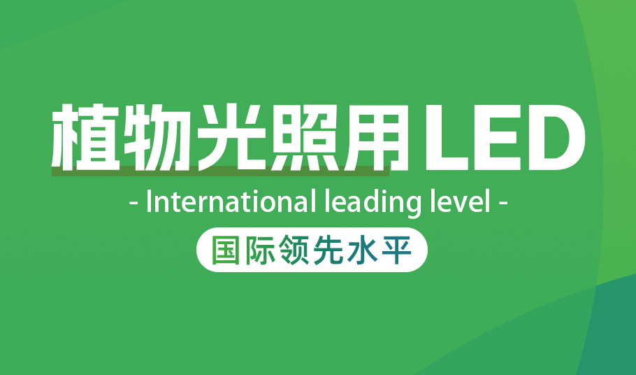 旭宇光電植物照明LED：高光量子效率驅(qū)動農(nóng)業(yè)現(xiàn)代化與節(jié)能